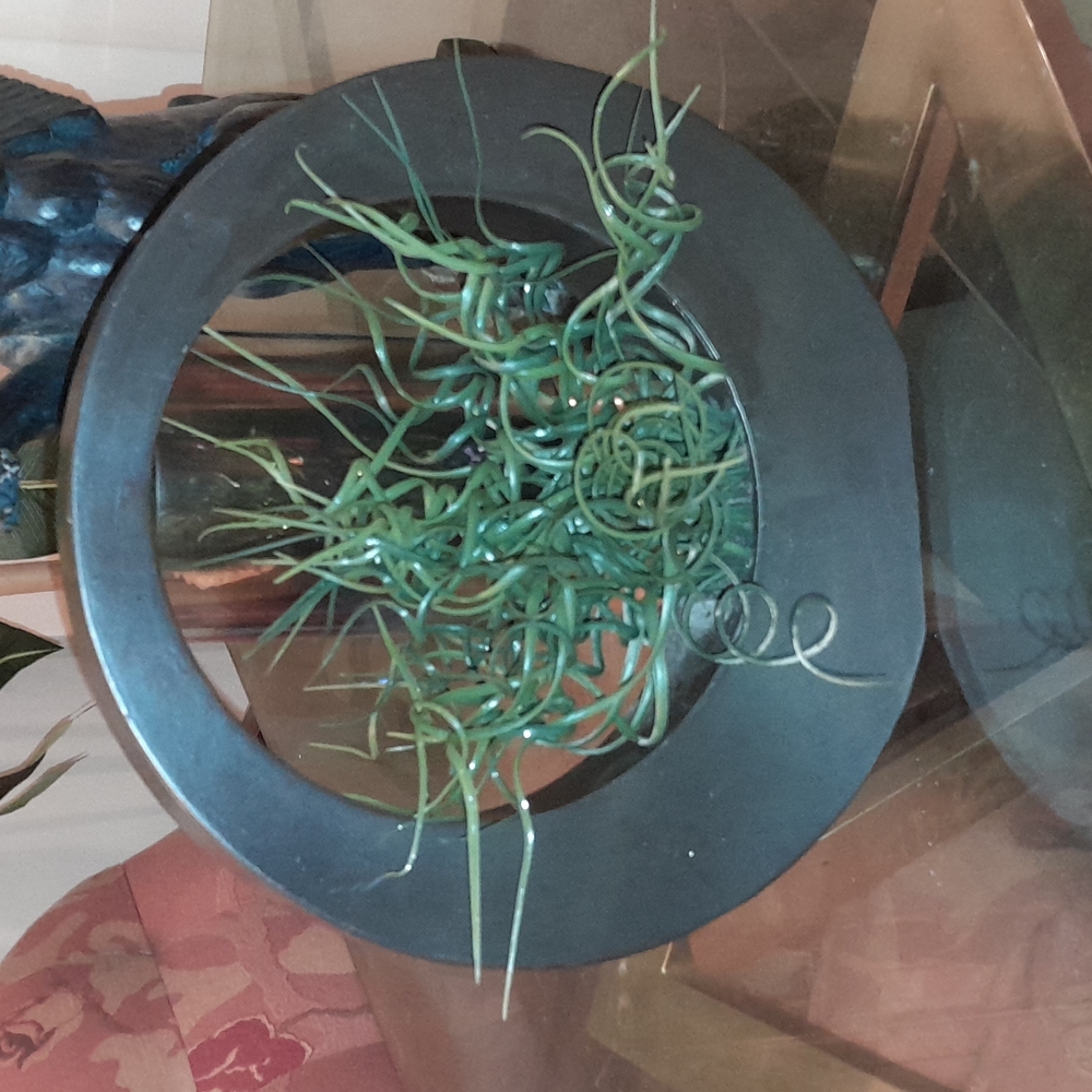 🌺CIRCULAR Vase & Plant